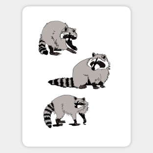 Trash Panda Racoon Magnet